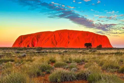 Australie : quels animaux voir à quelles périodes ?